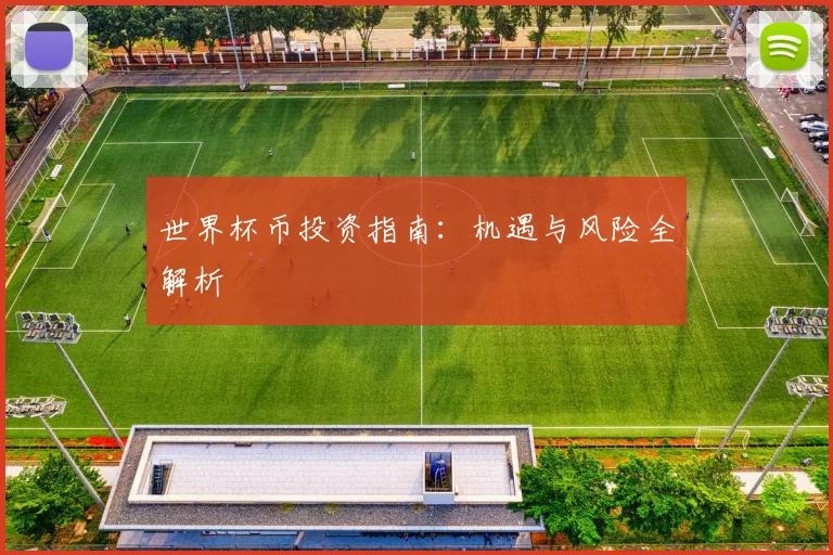 世界杯币投资指南：机遇与风险全解析